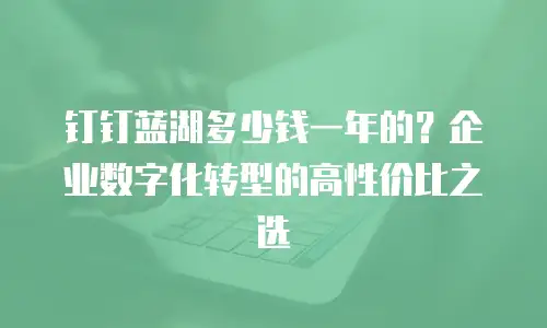 钉钉蓝湖多少钱一年的？企业数字化转型的高性价比之选