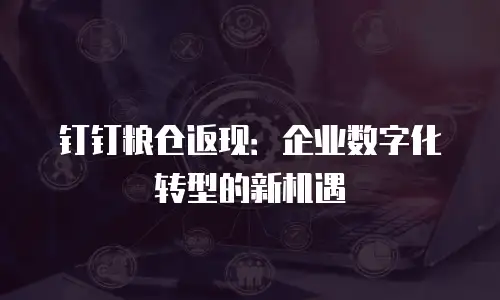 钉钉粮仓返现：企业数字化转型的新机遇