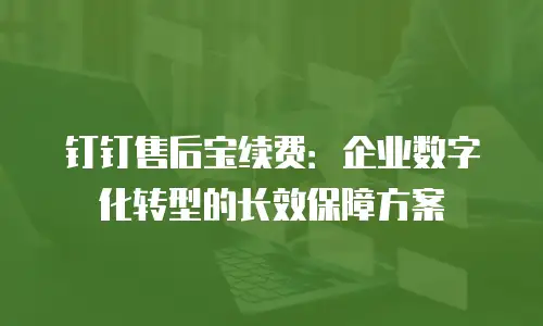 钉钉售后宝续费：企业数字化转型的长效保障方案