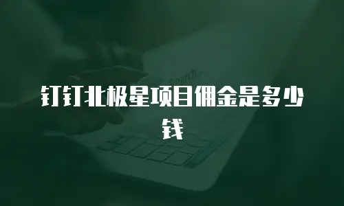 钉钉北极星项目佣金是多少钱