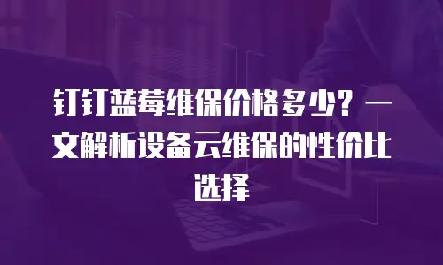 钉钉蓝莓维保价格多少？一文解析设备云维保的性价比选择