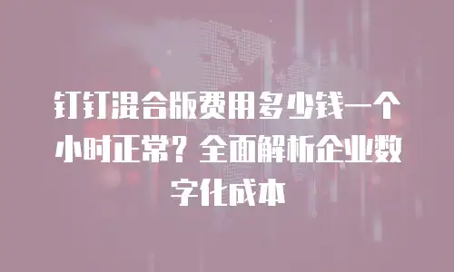 钉钉混合版费用多少钱一个小时正常？全面解析企业数字化成本