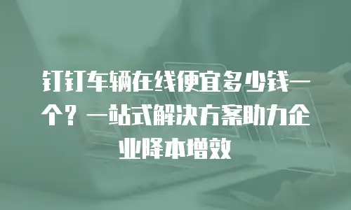 钉钉车辆在线便宜多少钱一个？一站式解决方案助力企业降本增效