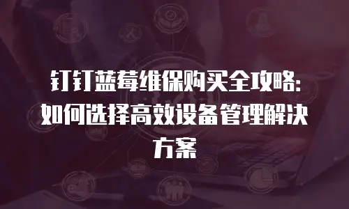 钉钉蓝莓维保购买全攻略：如何选择高效设备管理解决方案