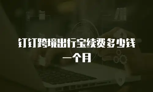 钉钉跨境出行宝续费多少钱一个月