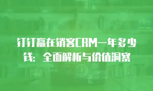 钉钉赢在销客CRM一年多少钱：全面解析与价值洞察