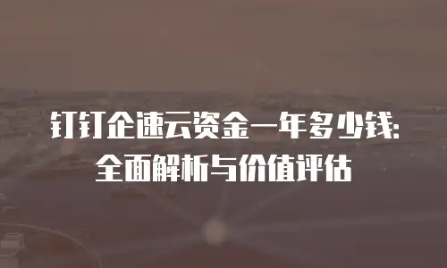 钉钉企速云资金一年多少钱：全面解析与价值评估