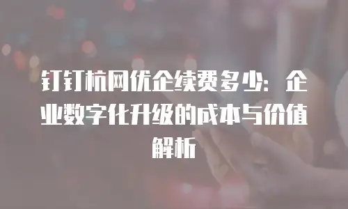 钉钉杭网优企续费多少：企业数字化升级的成本与价值解析