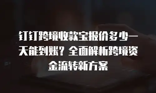 钉钉跨境收款宝报价多少一天能到账？全面解析跨境资金流转新方案