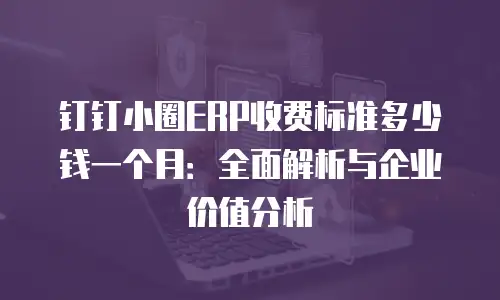 钉钉小圈ERP收费标准多少钱一个月：全面解析与企业价值分析