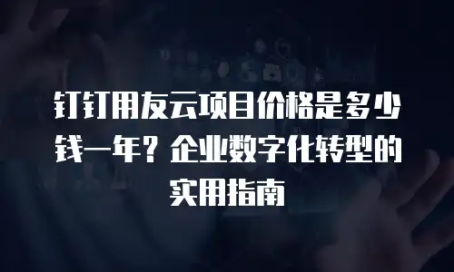 钉钉用友云项目价格是多少钱一年？企业数字化转型的实用指南