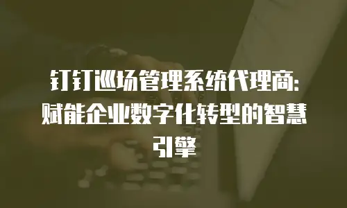 钉钉巡场管理系统代理商：赋能企业数字化转型的智慧引擎