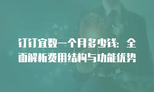 钉钉宜数一个月多少钱：全面解析费用结构与功能优势