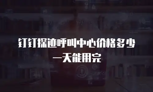 钉钉探迹呼叫中心价格多少一天能用完