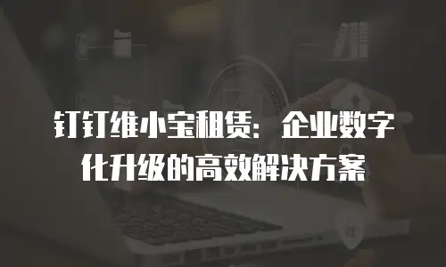 钉钉维小宝租赁：企业数字化升级的高效解决方案