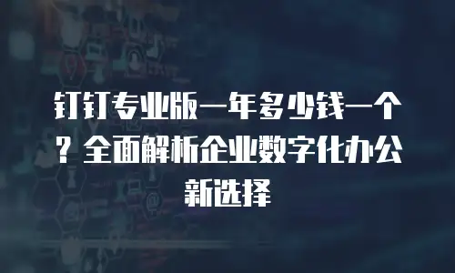钉钉专业版一年多少钱一个？全面解析企业数字化办公新选择