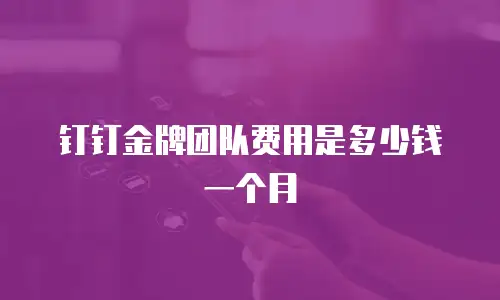 钉钉金牌团队费用是多少钱一个月
