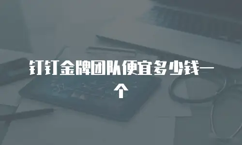 钉钉金牌团队便宜多少钱一个
