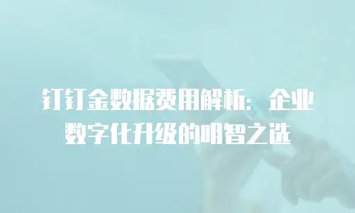 钉钉金数据费用解析：企业数字化升级的明智之选