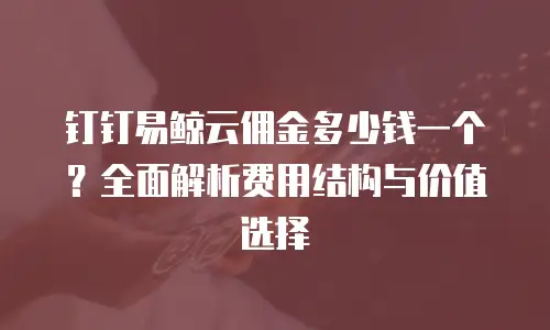 钉钉易鲸云佣金多少钱一个？全面解析费用结构与价值选择