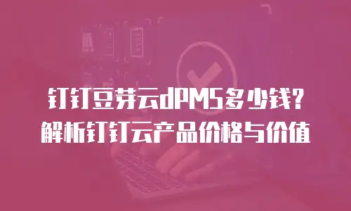 钉钉豆芽云dPMS多少钱？解析钉钉云产品价格与价值