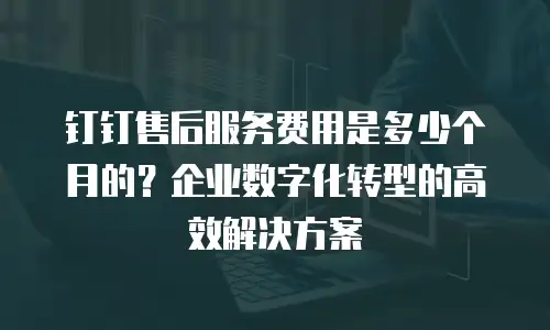 钉钉售后服务费用是多少个月的？企业数字化转型的高效解决方案