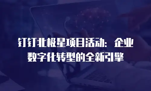 钉钉北极星项目活动：企业数字化转型的全新引擎
