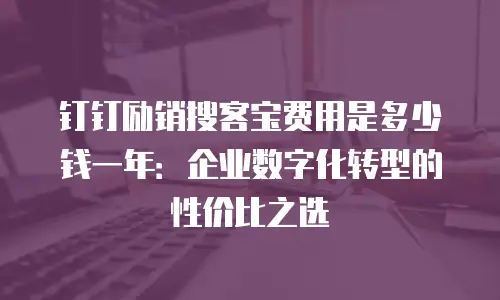 钉钉励销搜客宝费用是多少钱一年：企业数字化转型的性价比之选