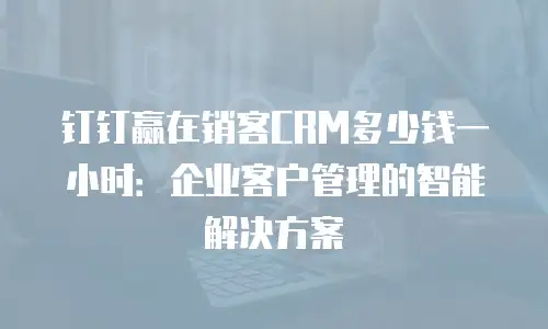 钉钉赢在销客CRM多少钱一小时：企业客户管理的智能解决方案