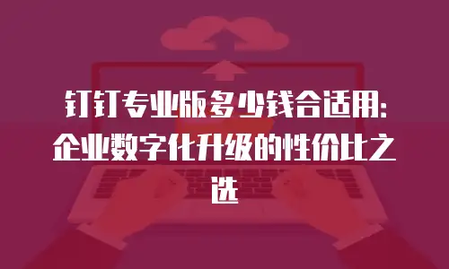 钉钉专业版多少钱合适用：企业数字化升级的性价比之选