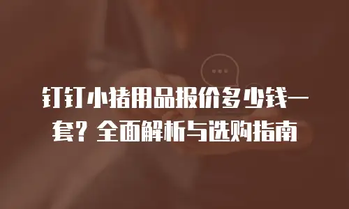 钉钉小猪用品报价多少钱一套？全面解析与选购指南