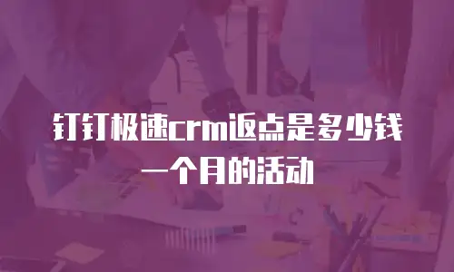钉钉极速crm返点是多少钱一个月的活动