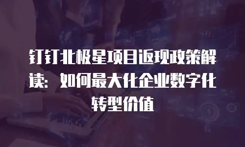 钉钉北极星项目返现政策解读：如何最大化企业数字化转型价值