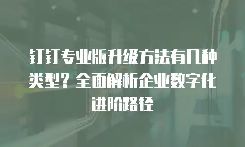 钉钉专业版升级方法有几种类型？全面解析企业数字化进阶路径