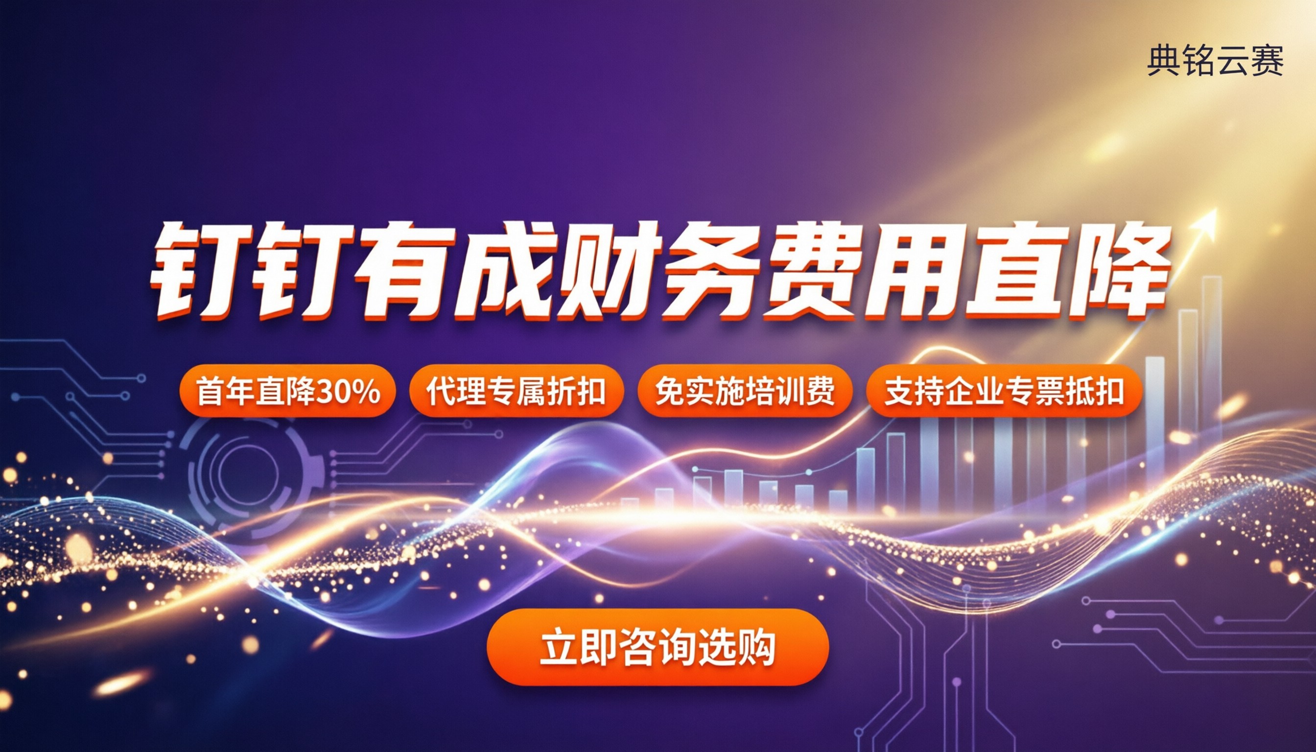 钉钉有成财务费用：最新价格与怎么买更划算