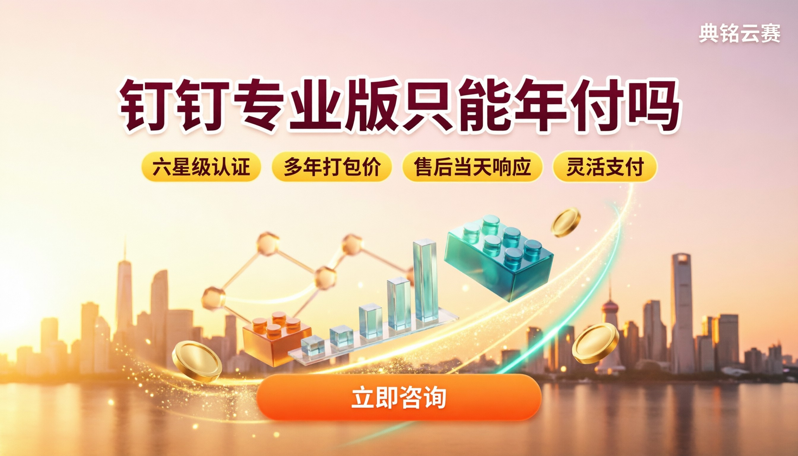 钉钉专业版只能年付吗：服务商推荐与对比