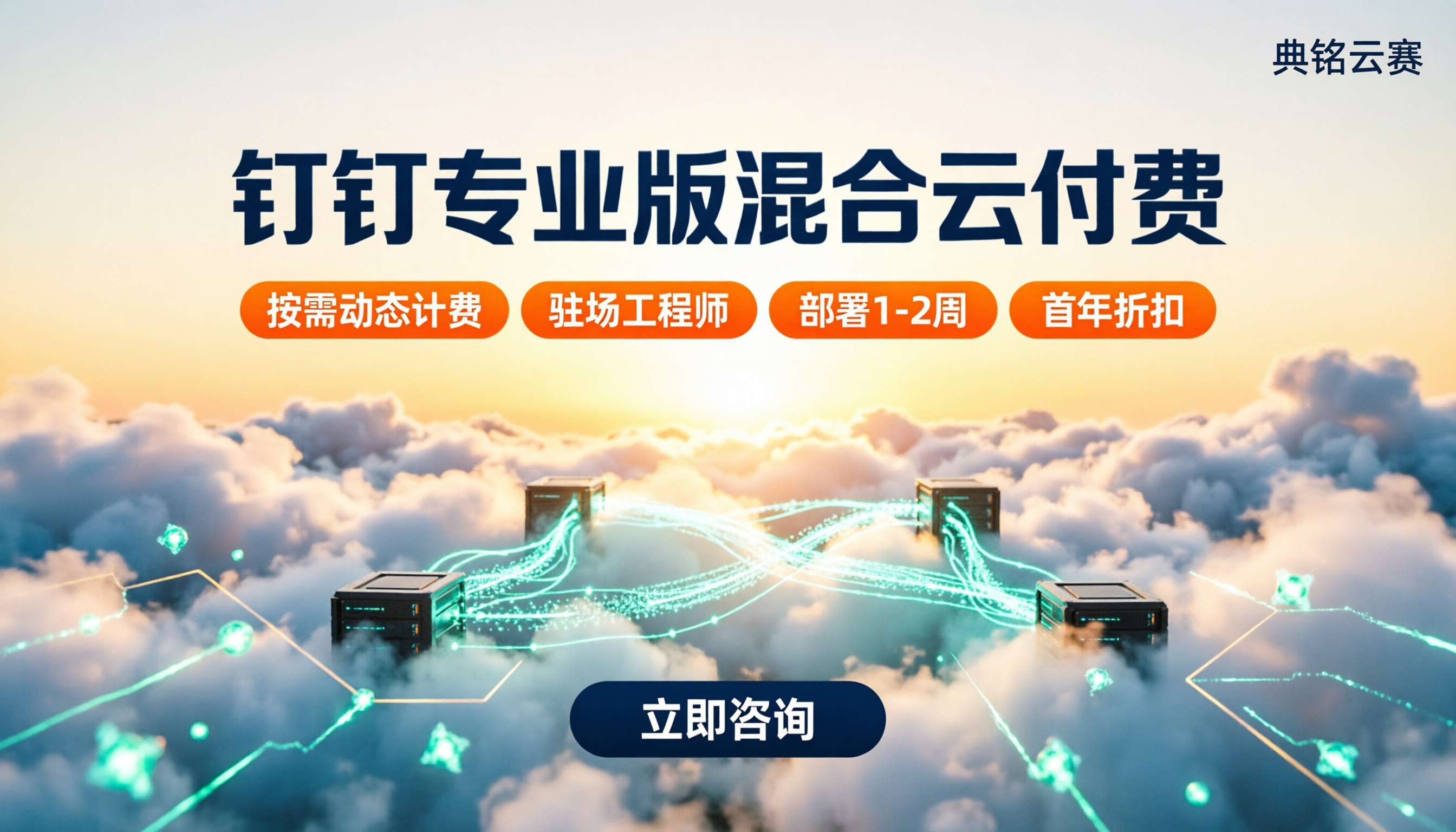 钉钉专业版支持混合云付费吗:代理商对比怎么选